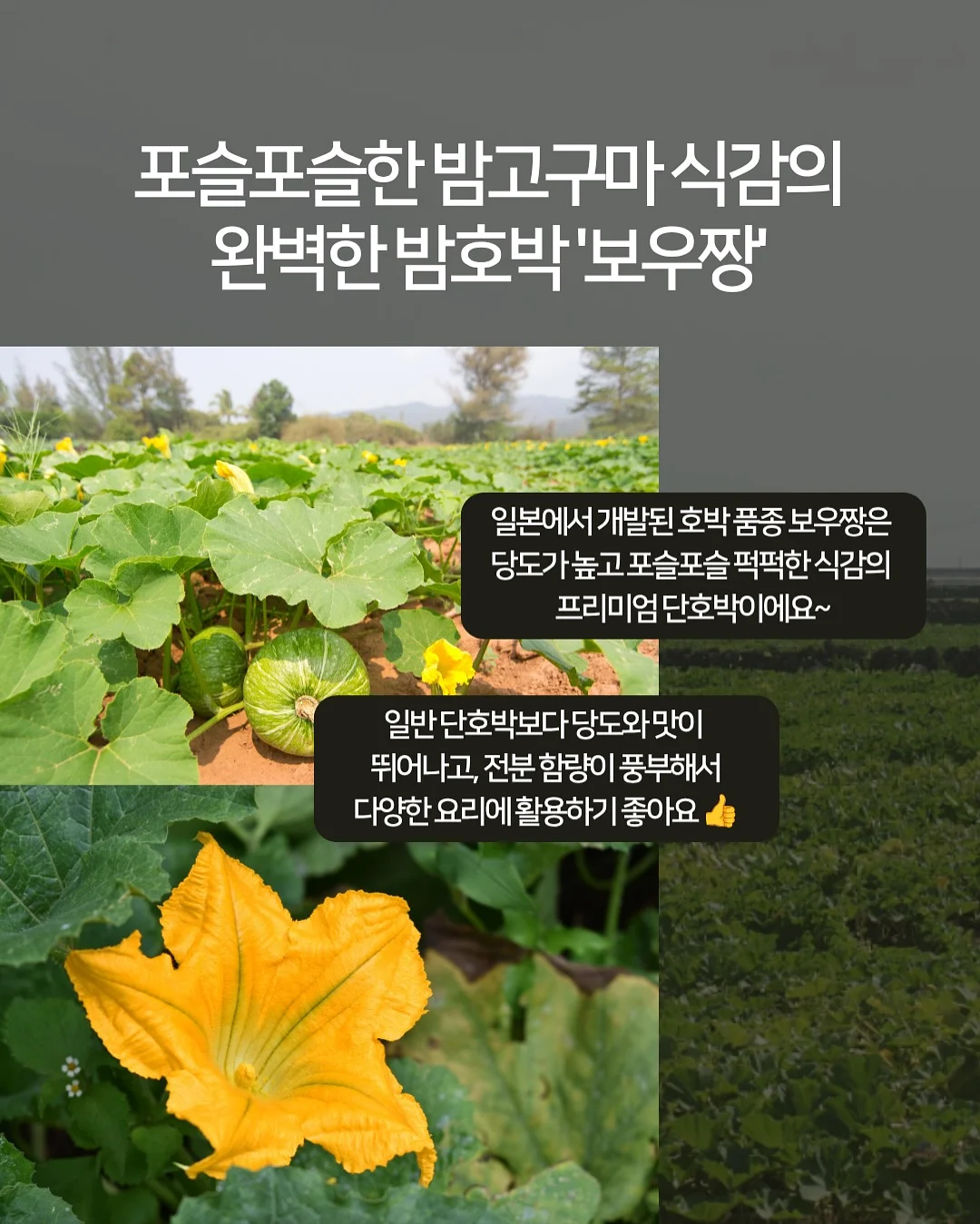 버뮤다랩 에어모션 LED 조명 실링팬 10