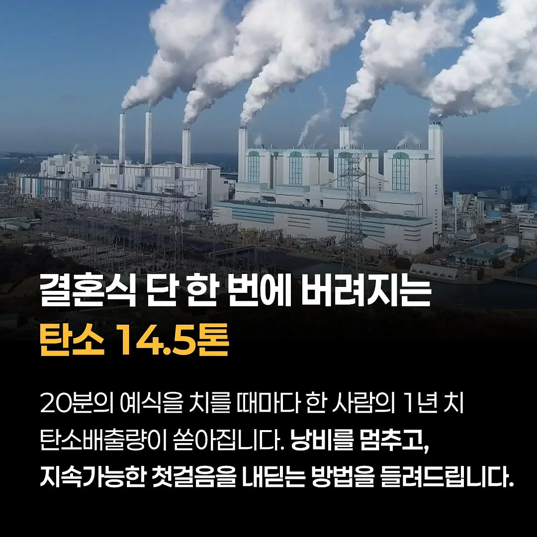 쉐이크베이비 5