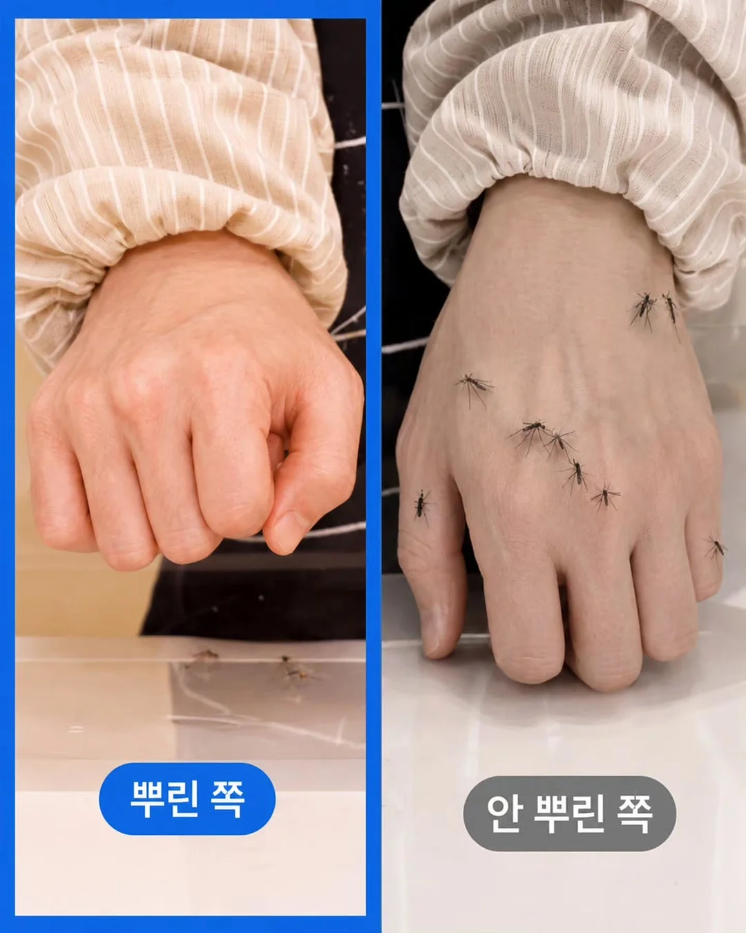 아티바바블럭 5종 6