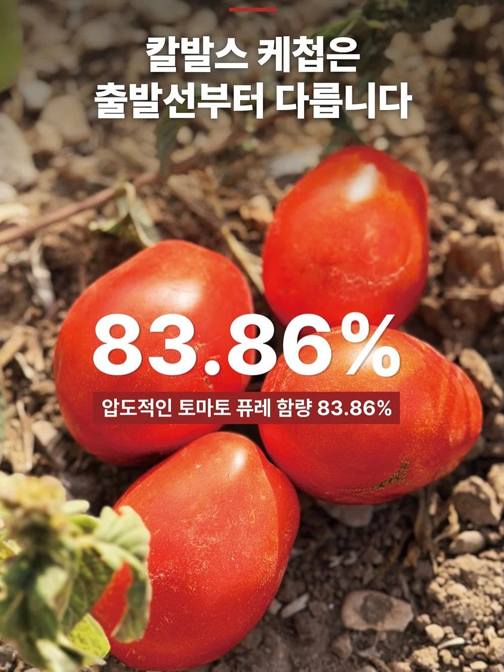 빌드펌 3
