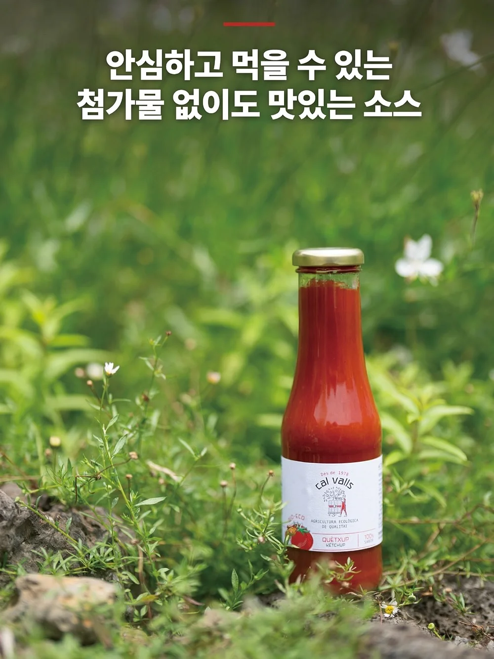 빌드펌 5