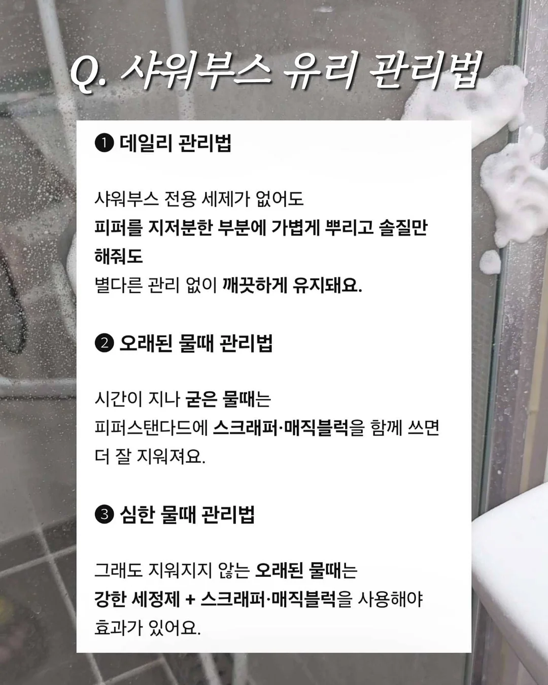 댐굿 신제품 11