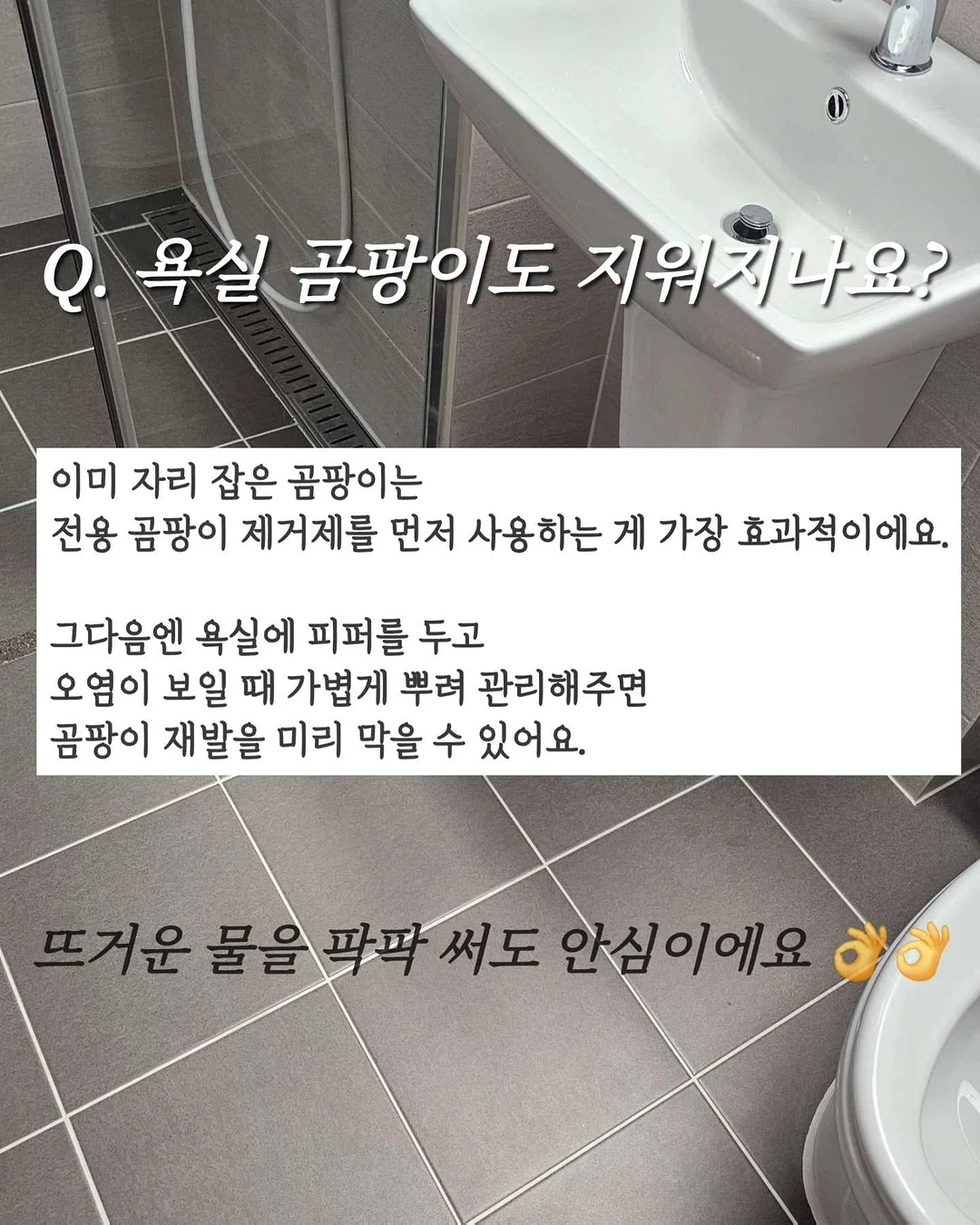 댐굿 신제품 12