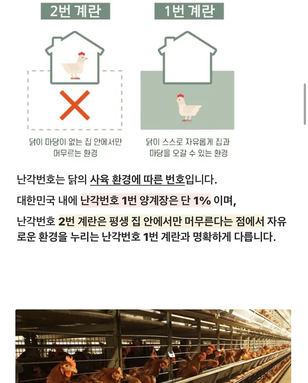 피지밤 14
