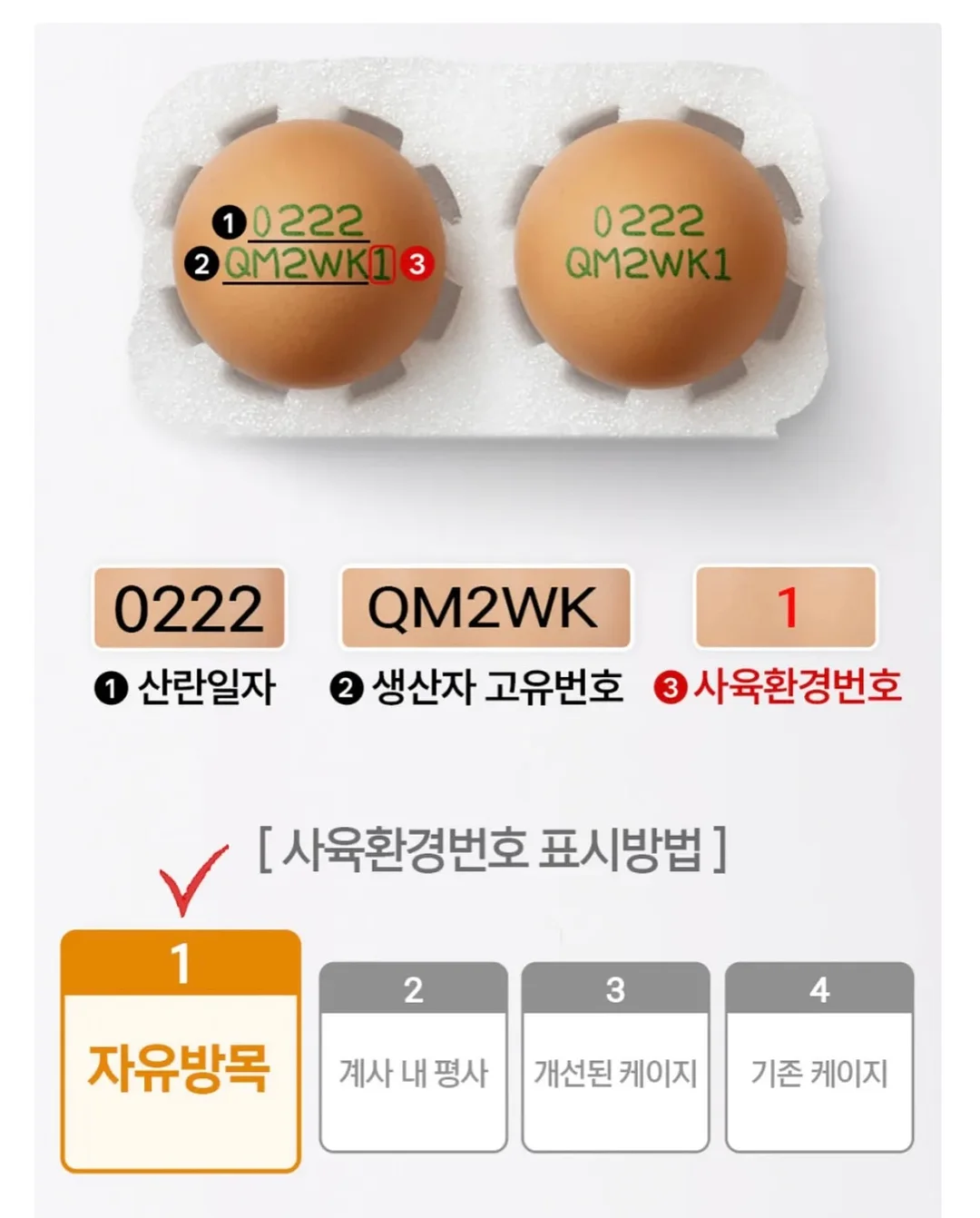 피지밤 16