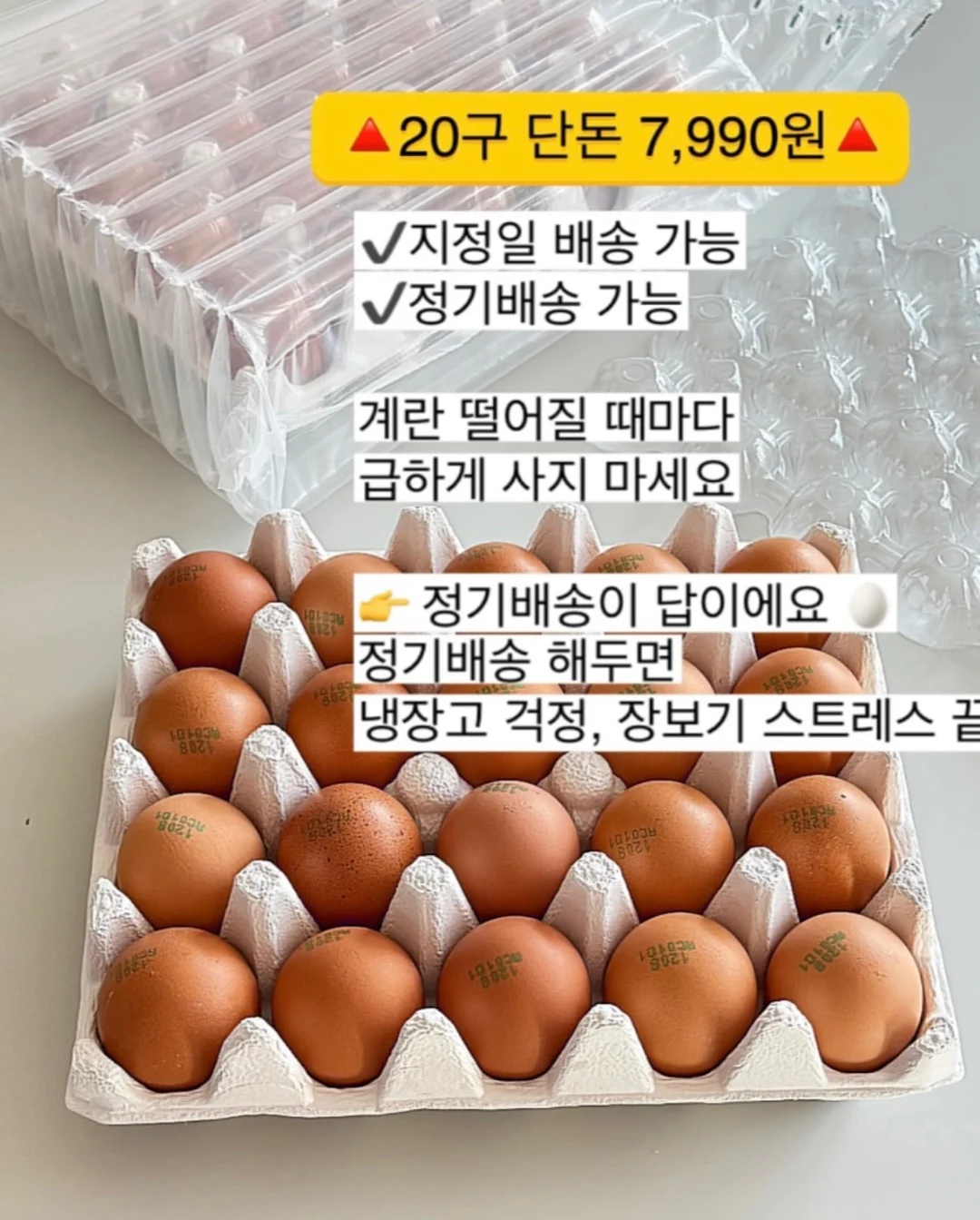 피지밤 18