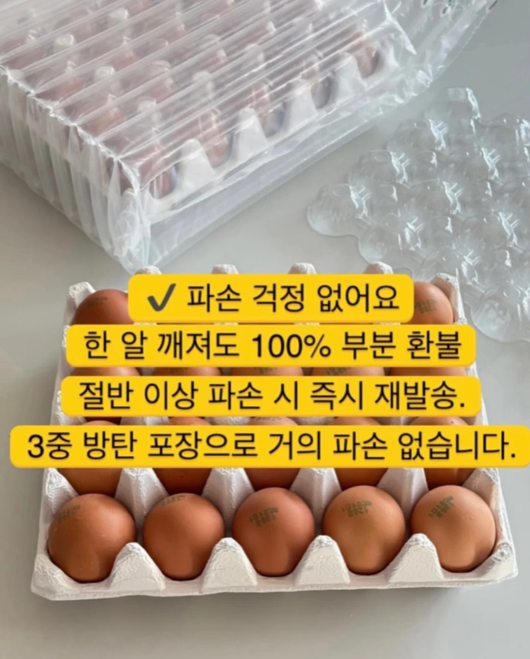 피지밤 19