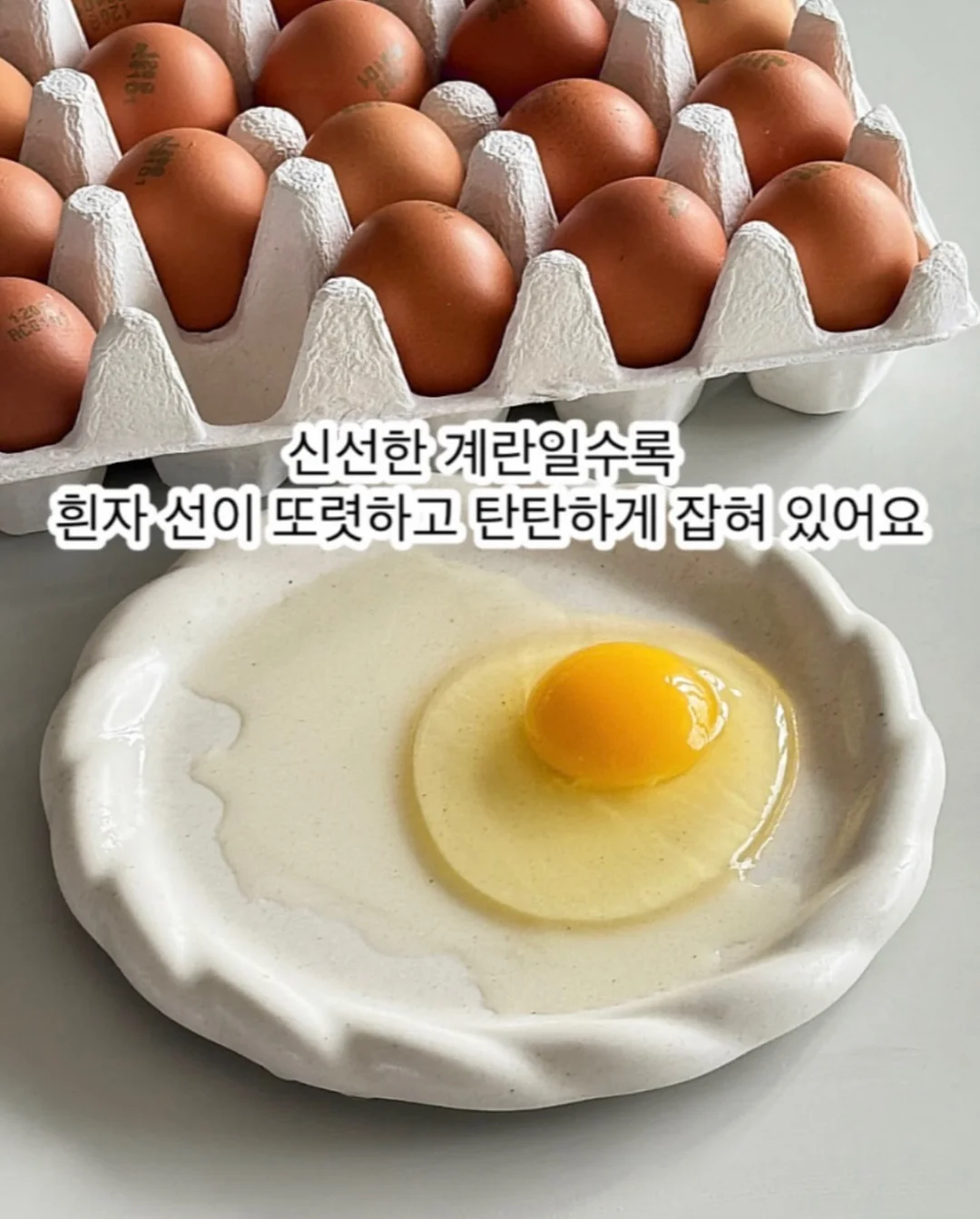 피지밤 20