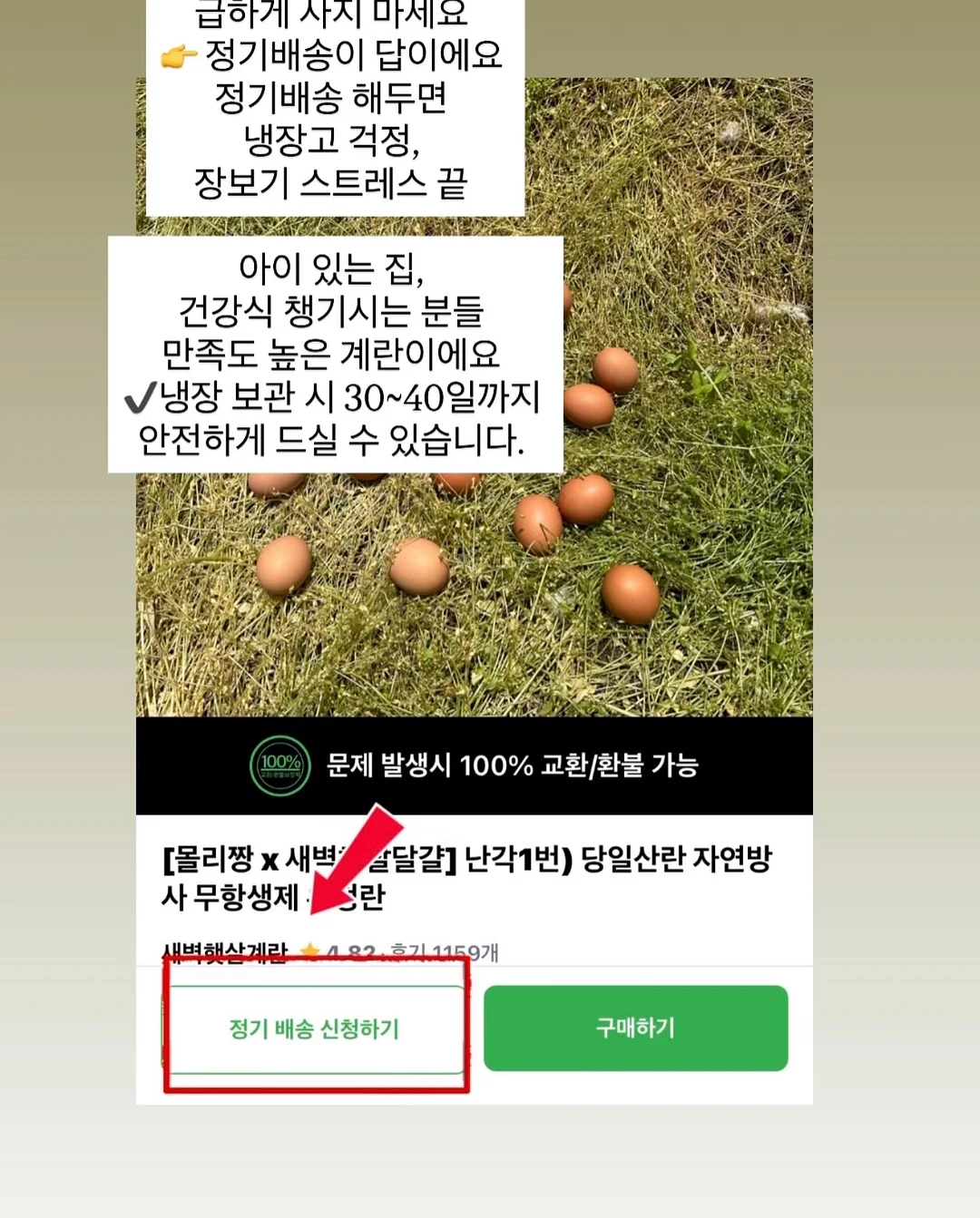 피지밤 3