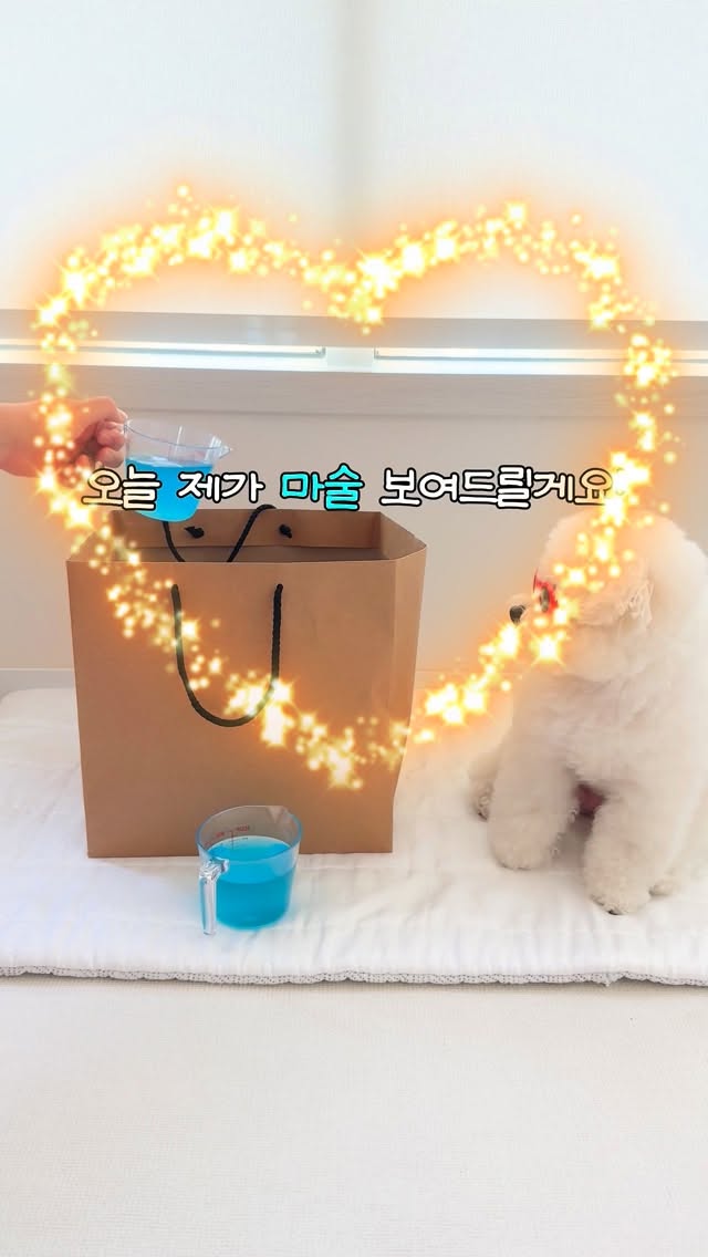 2중 구조 냉기 보존 용기