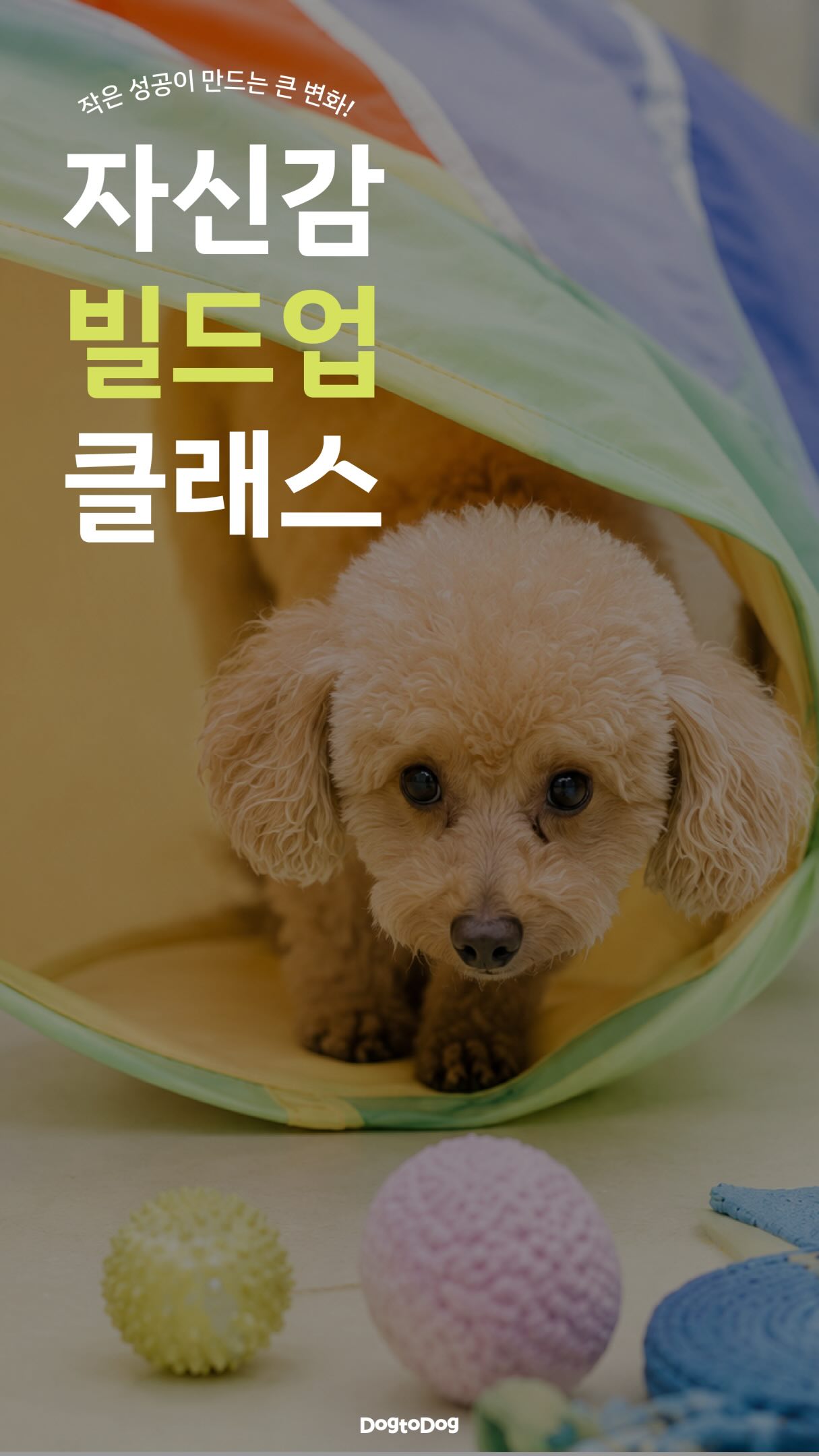 아티포페 아기띠