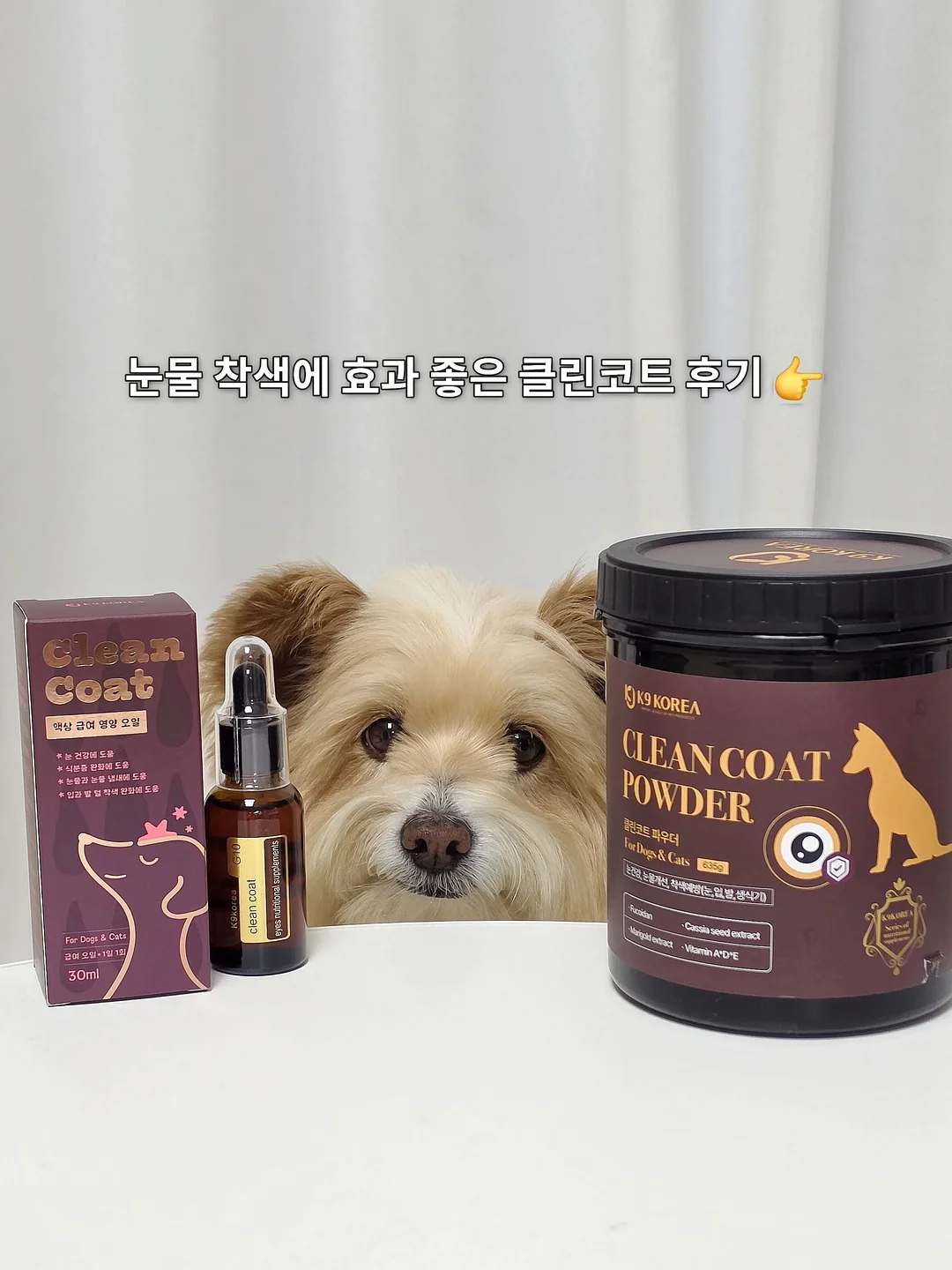 부산 소주 1