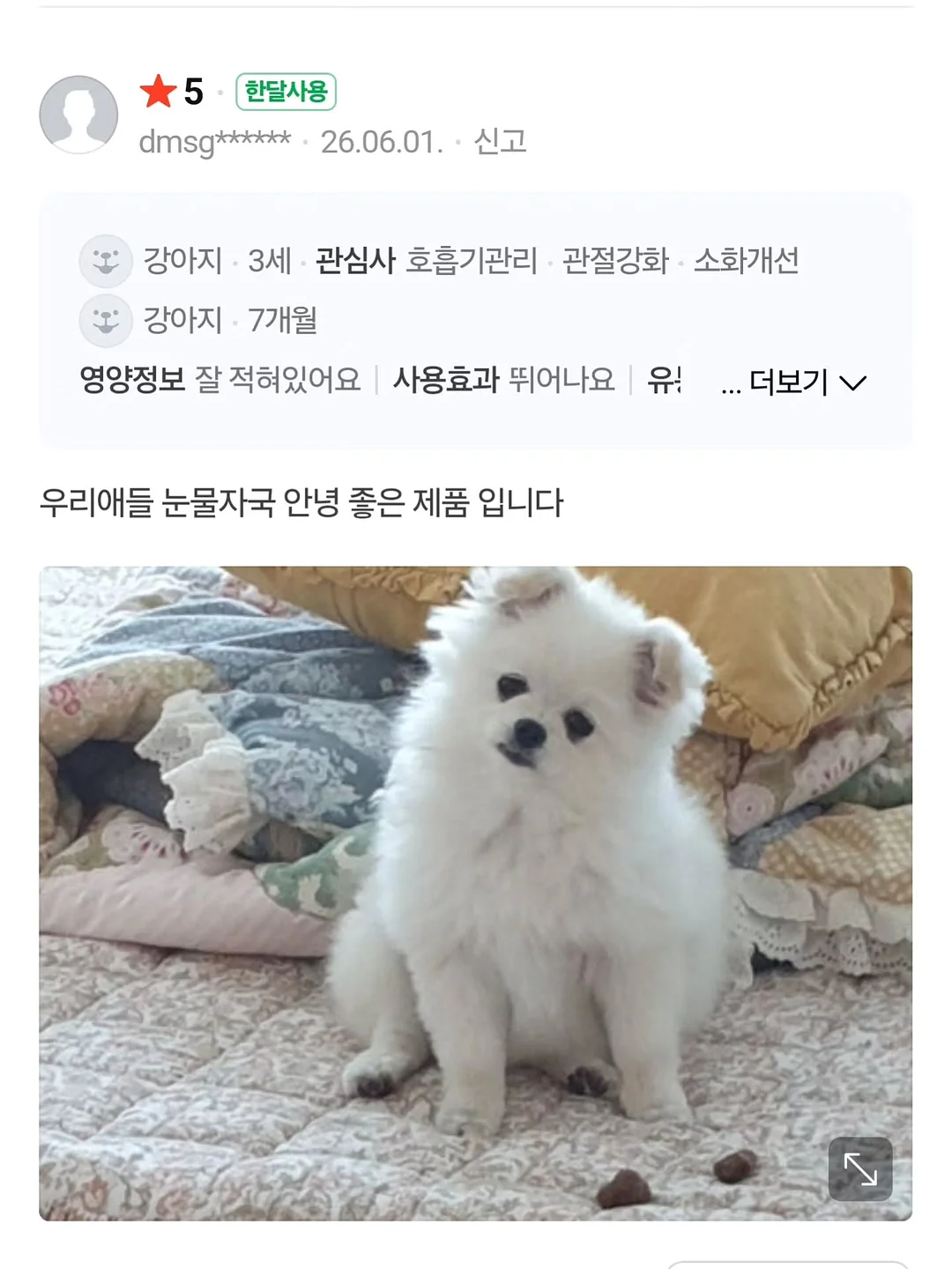 부산 소주 13