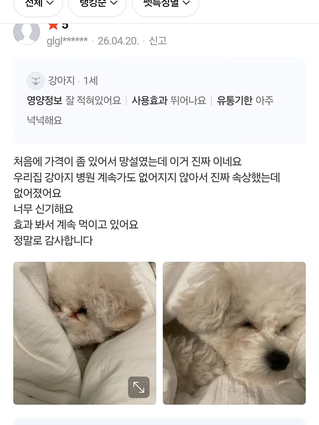 부산 소주 15