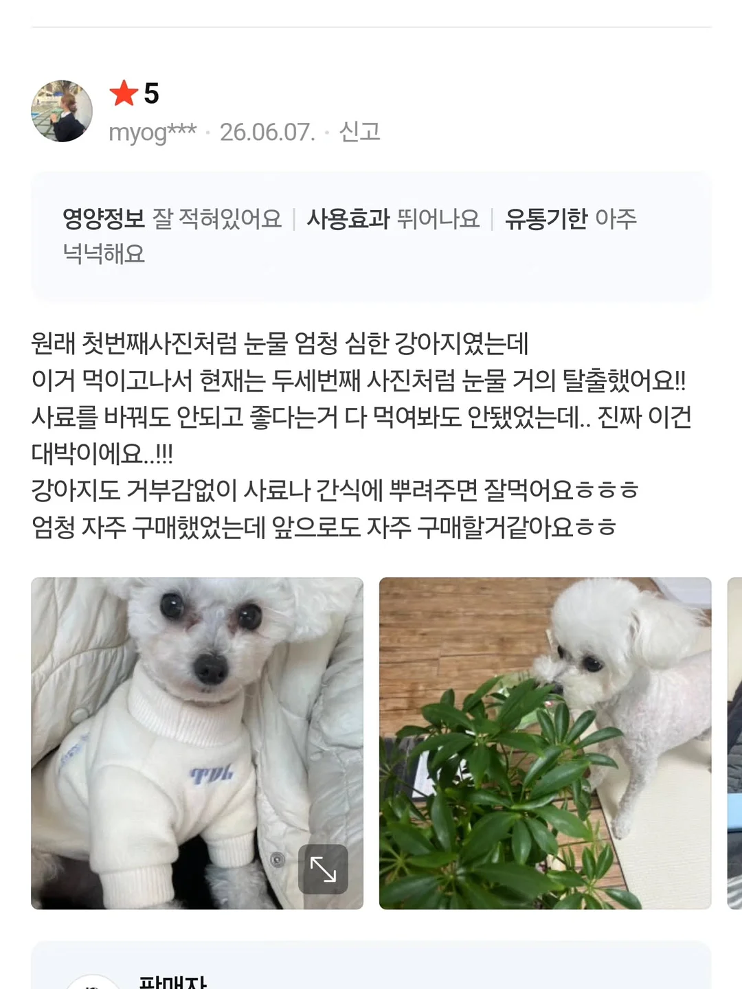 부산 소주 3