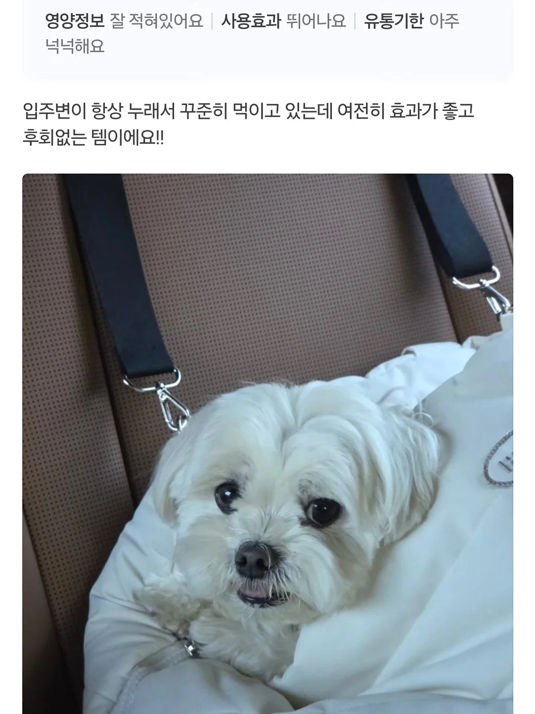 부산 소주 4