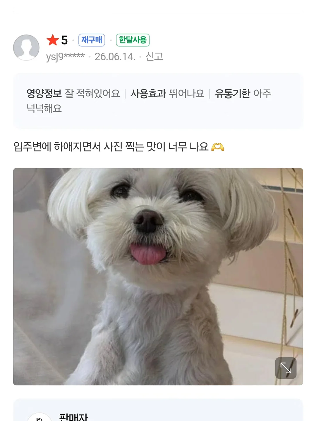 부산 소주 10