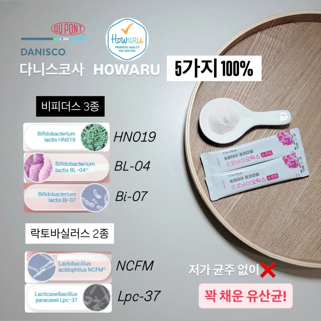 화이트 드레스 6