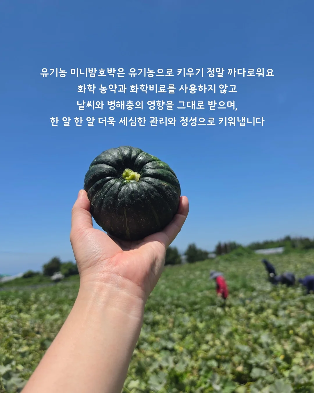 골드바2단케이크 상차림3종세트 4