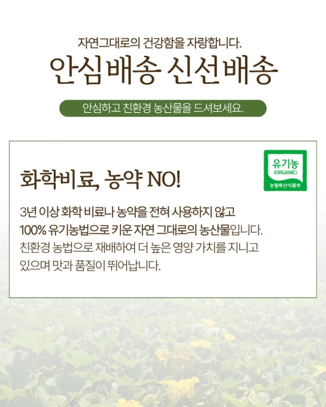 골드바2단케이크 상차림3종세트 8