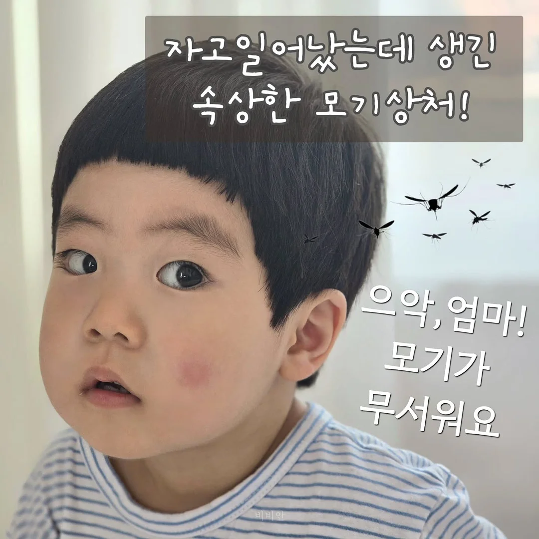 호주 오픈 볼키즈 영어 학습 프로그램 3