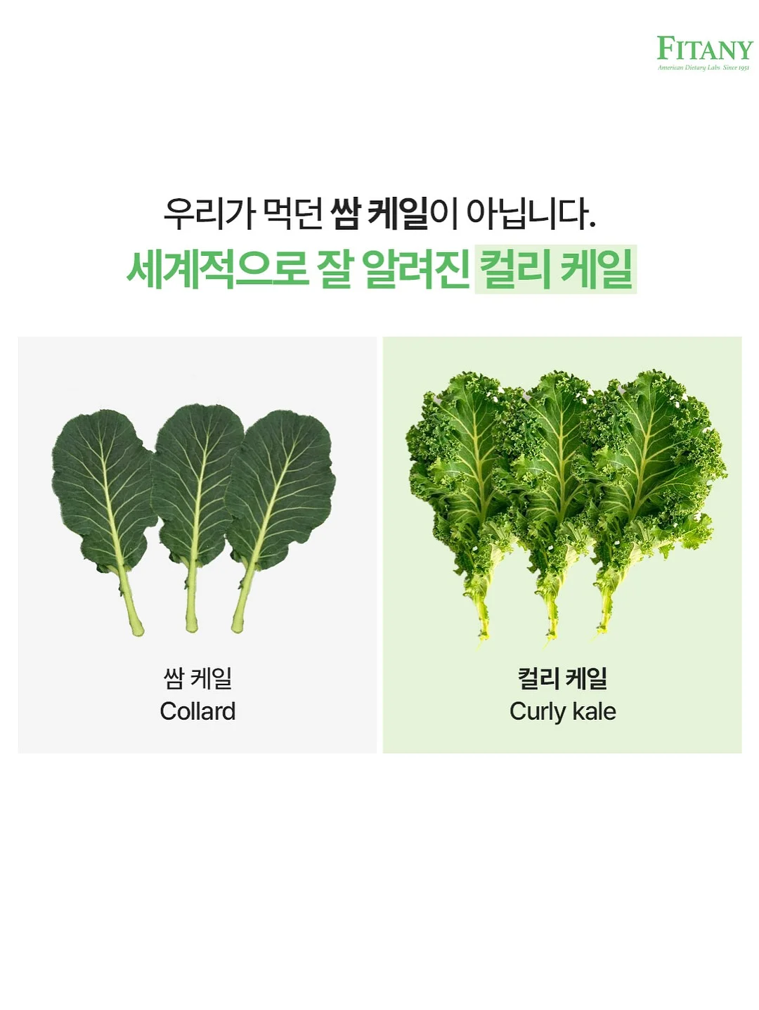 슬라힙 14