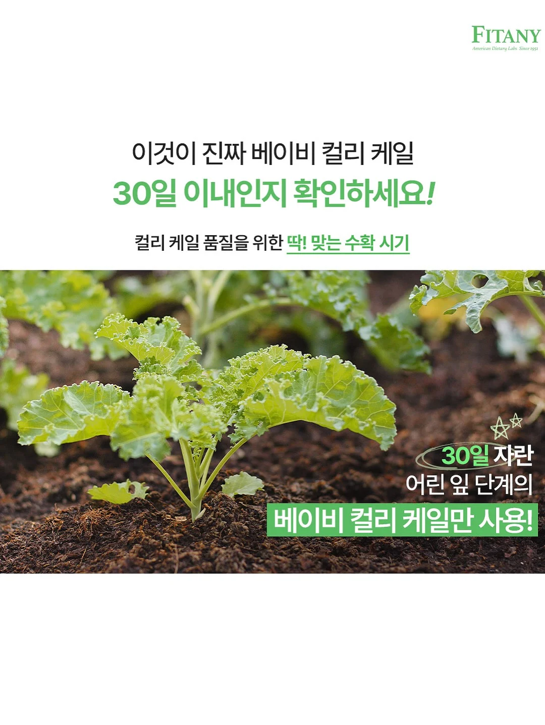 슬라힙 8
