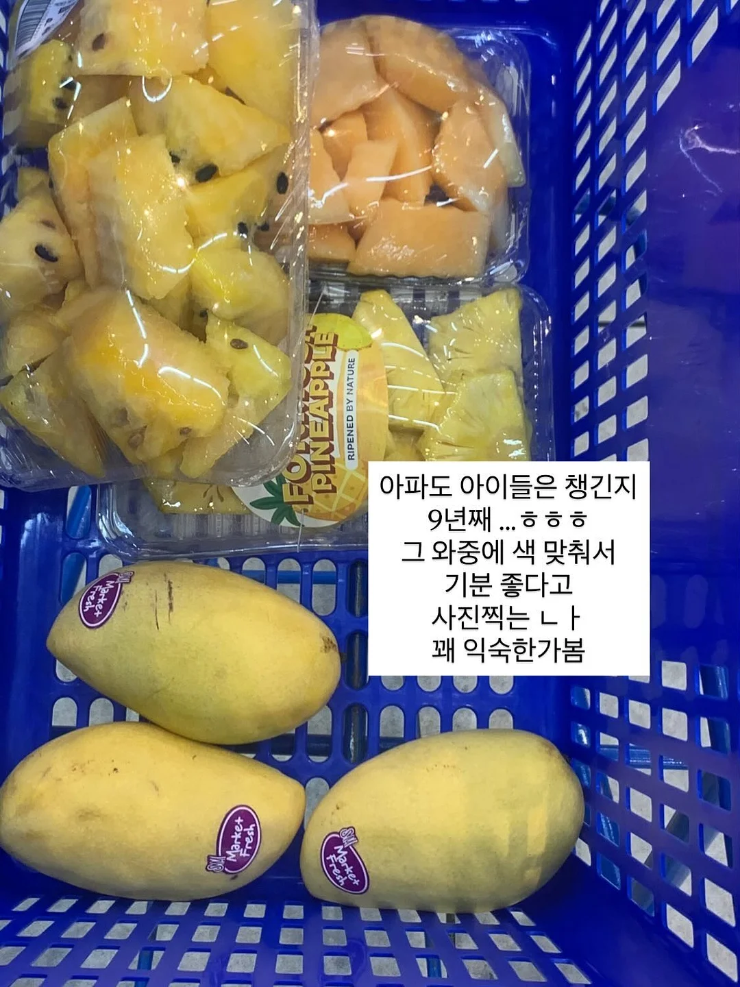 겨울 바닷가 반팔 코디 11