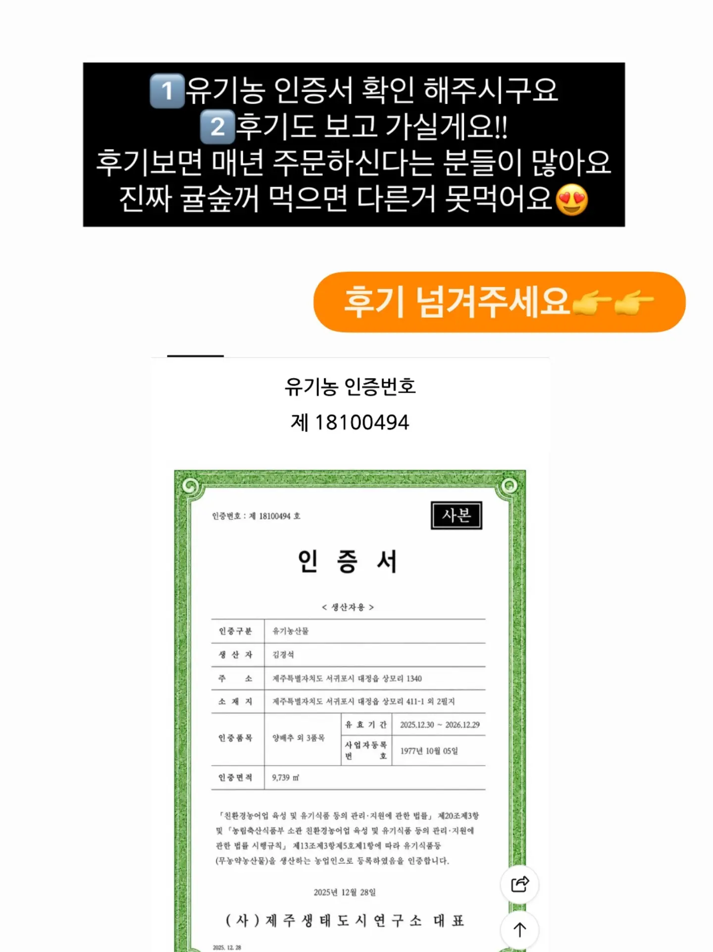 댕댕이 여름 쿨매트 11