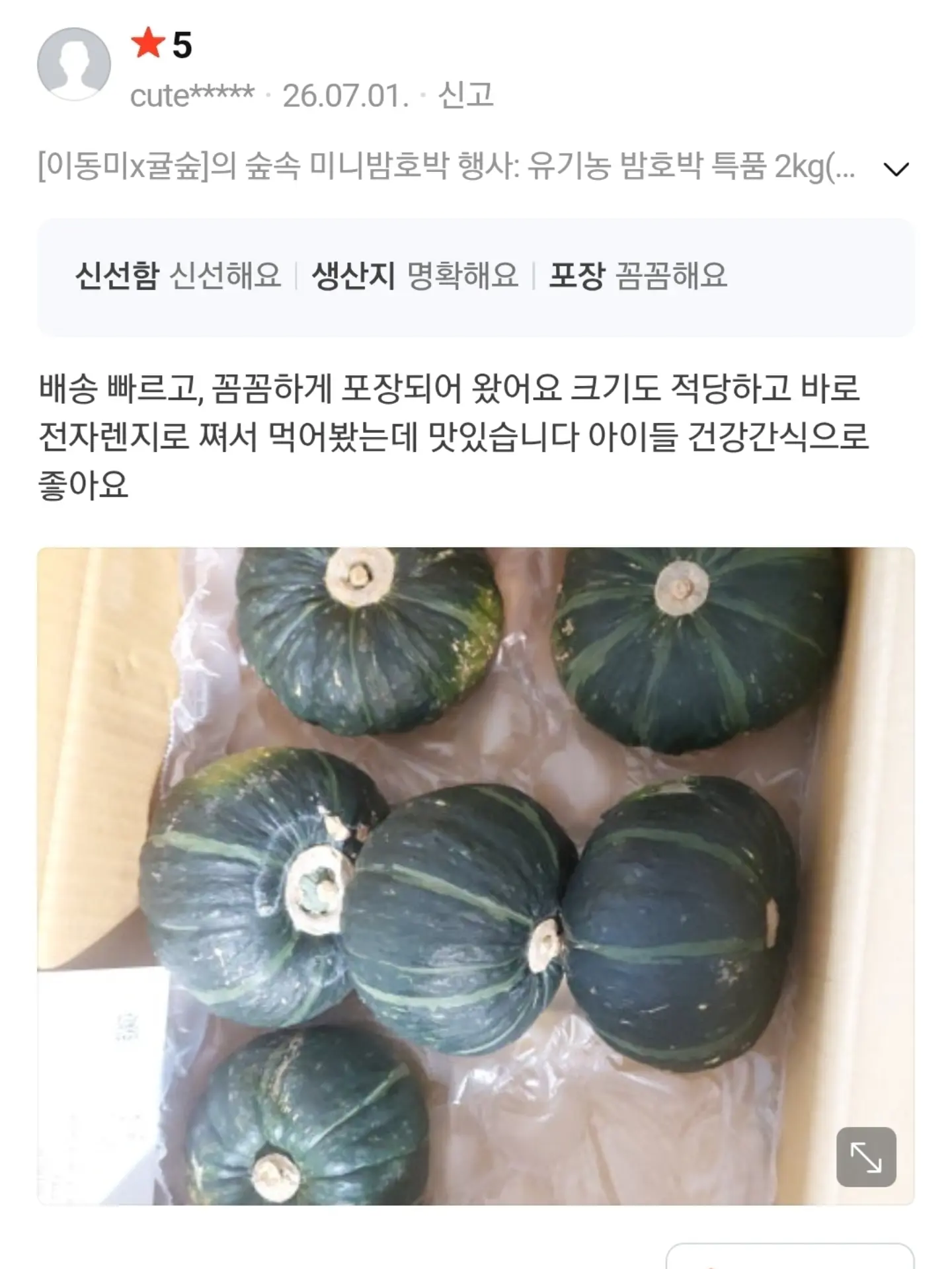 댕댕이 여름 쿨매트 18