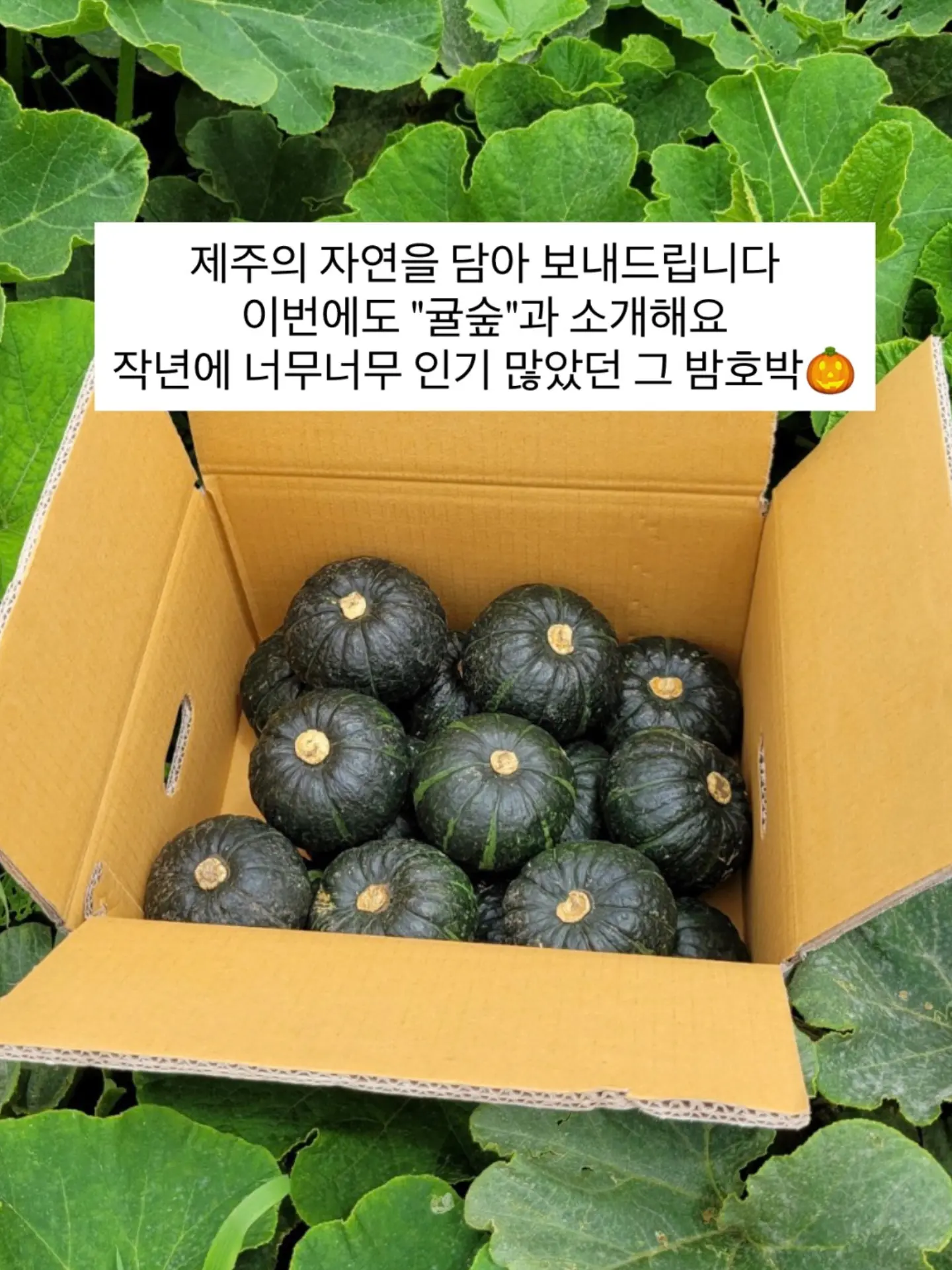 댕댕이 여름 쿨매트 10