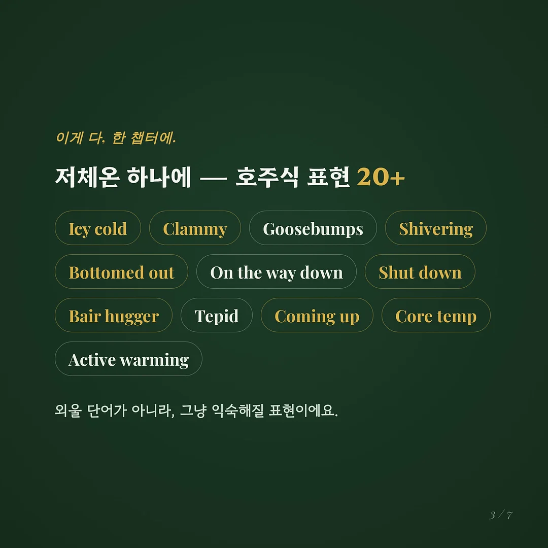 제철 과일 3