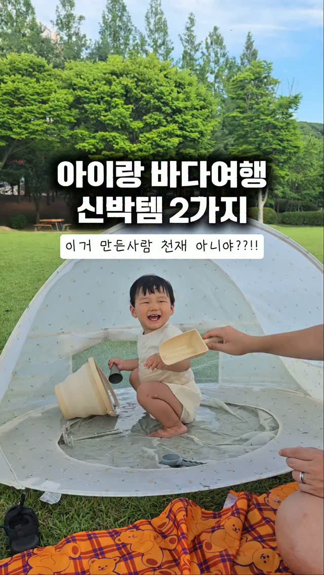 오로라와플셋업