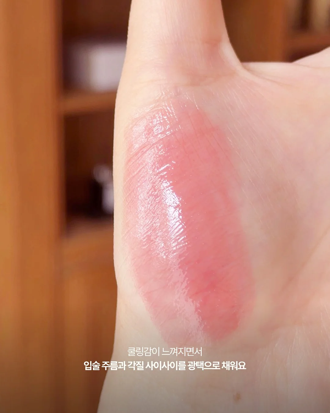 가구 이동 레일 4