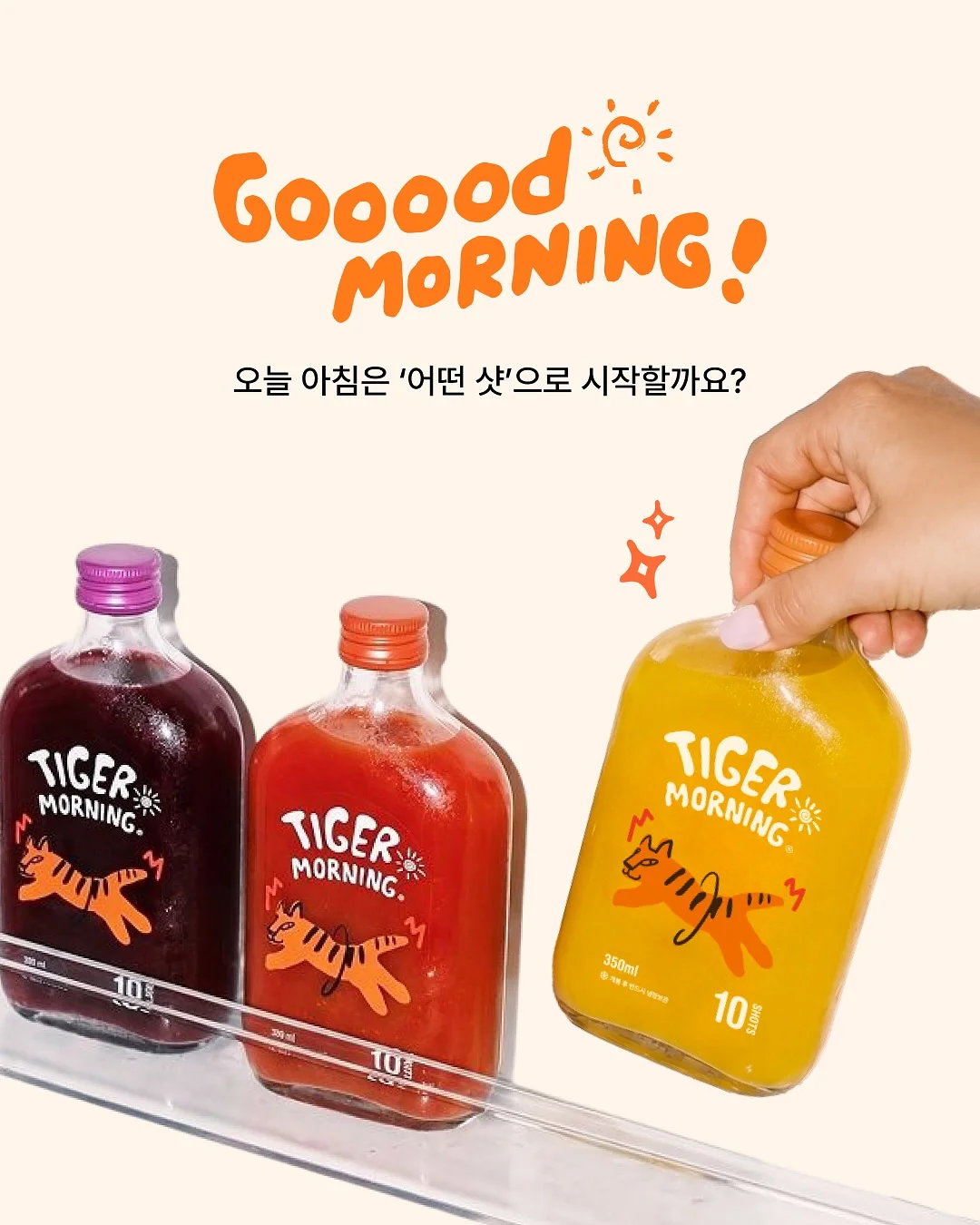 기메 소장 한복책거리 1