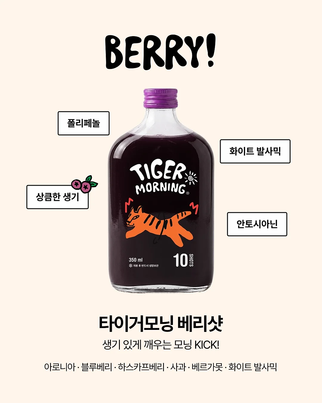 기메 소장 한복책거리 4
