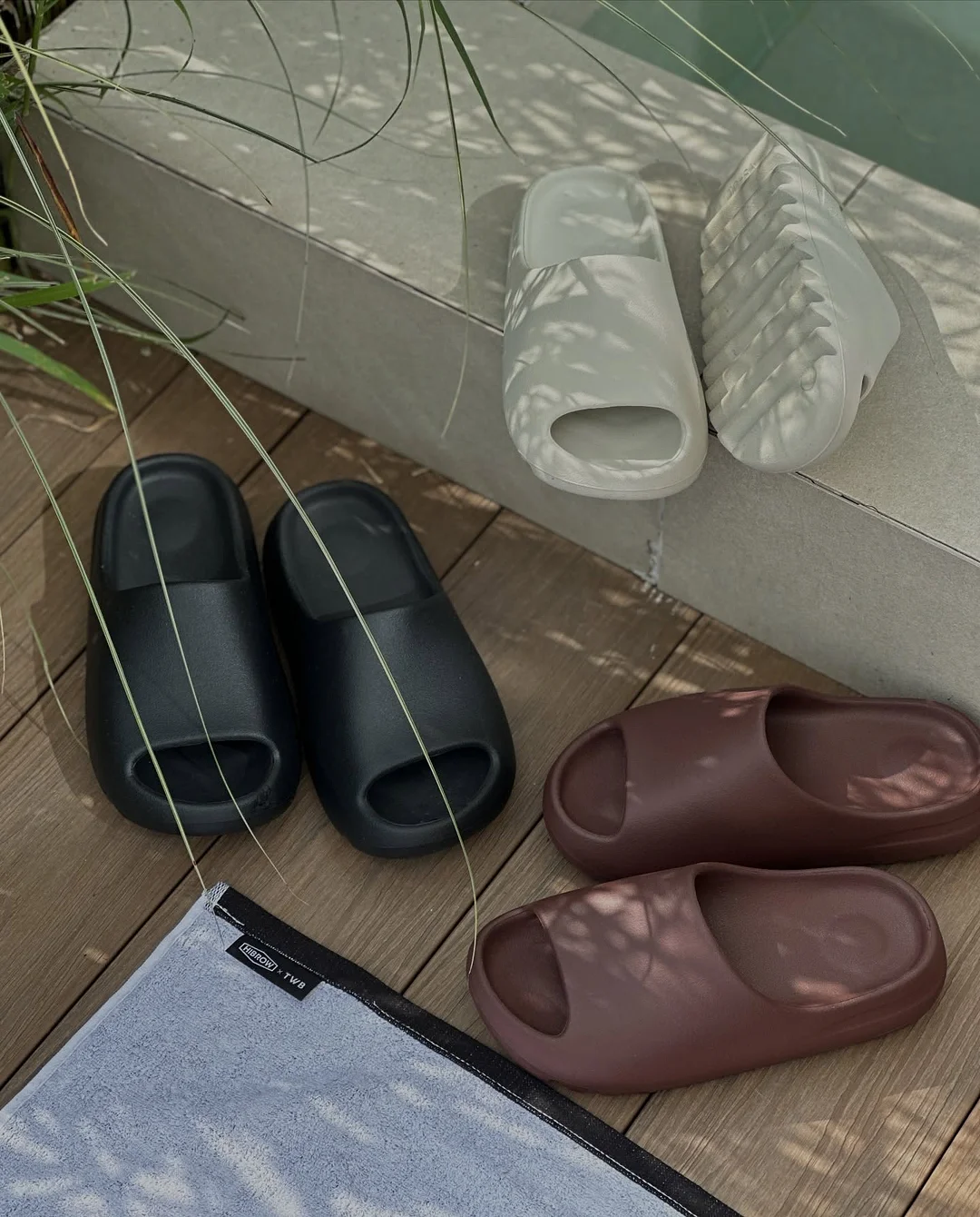 무화과나무 7