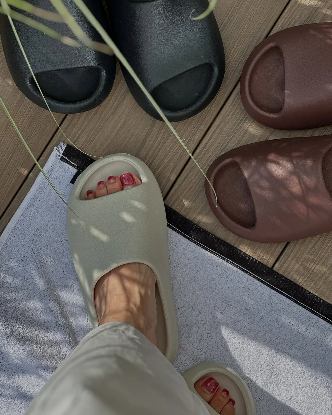 무화과나무 8