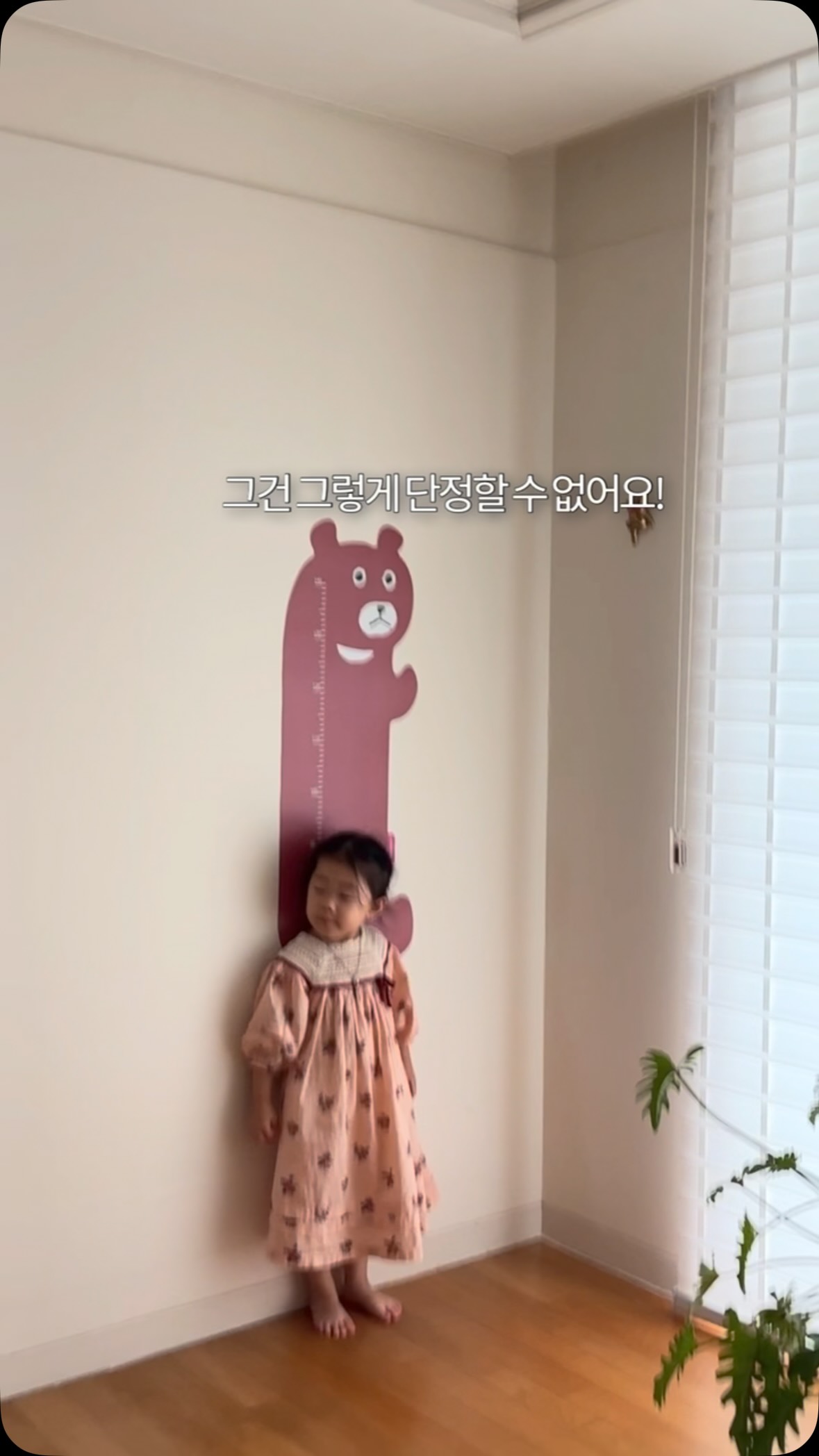 가자미전