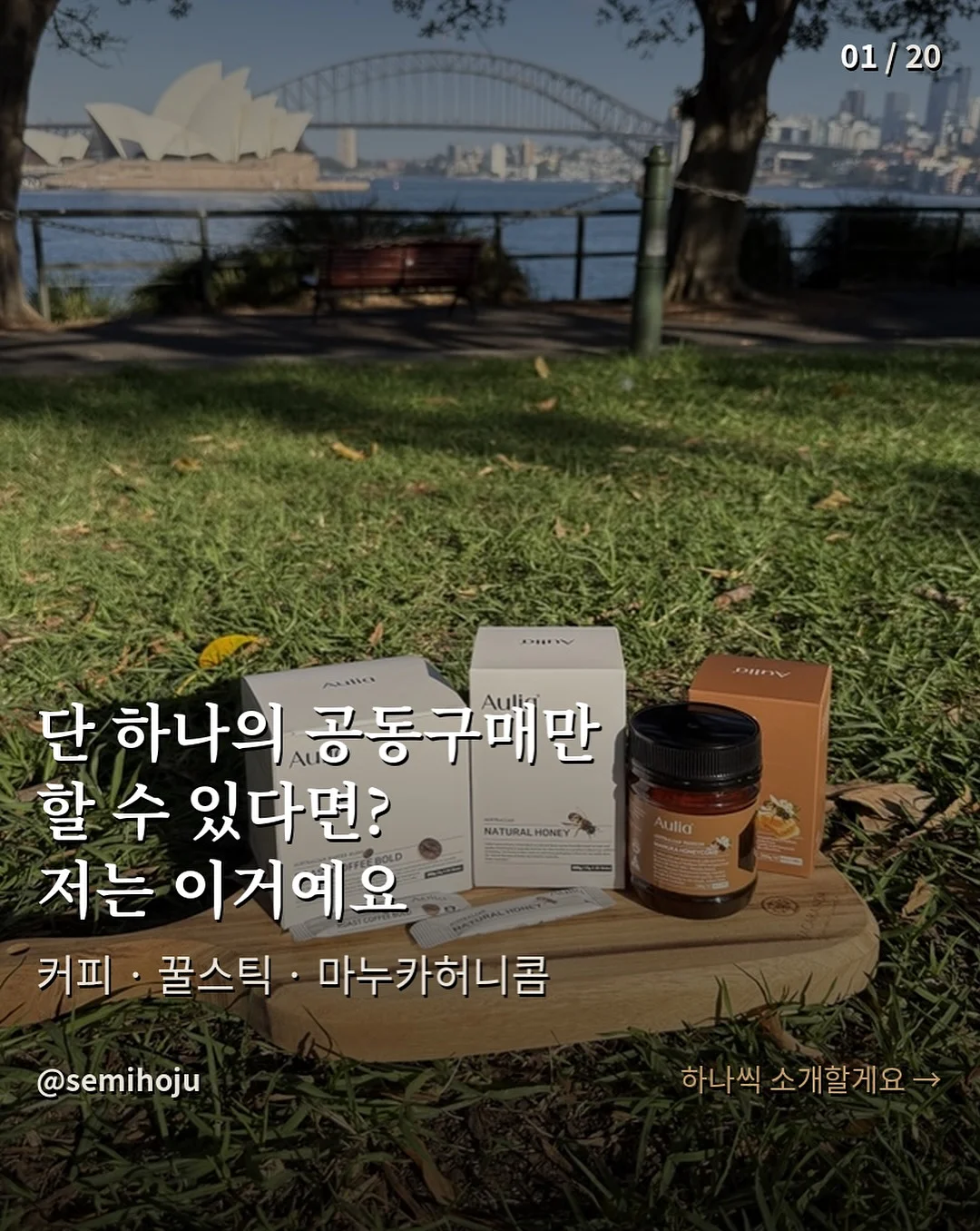 전동미끼 1