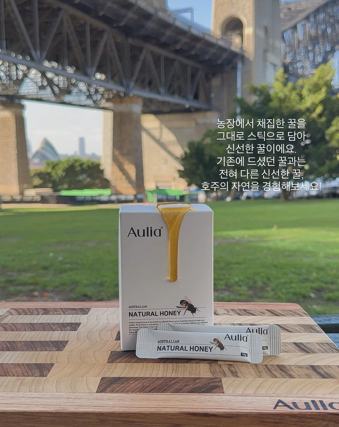 전동미끼 11