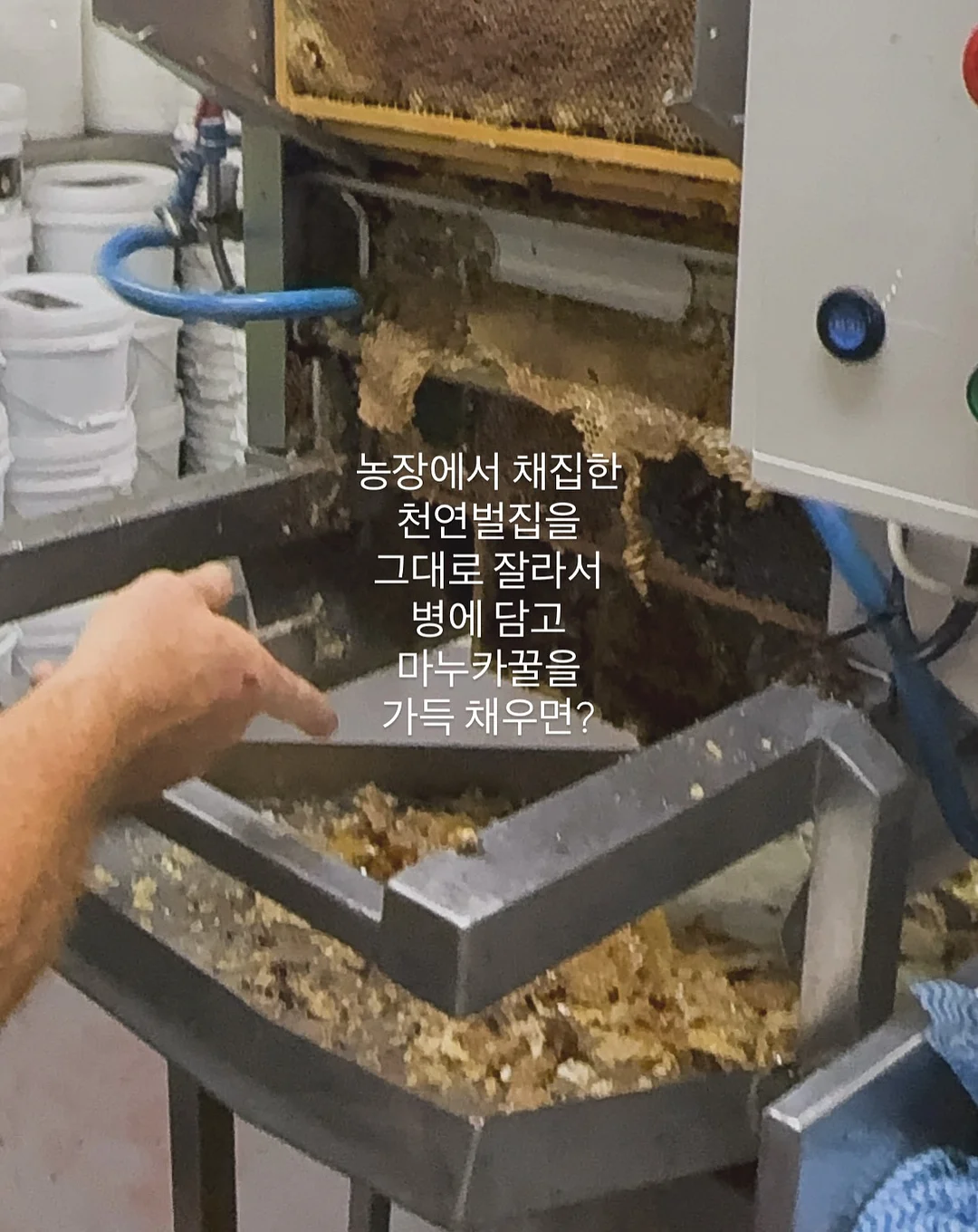 전동미끼 14