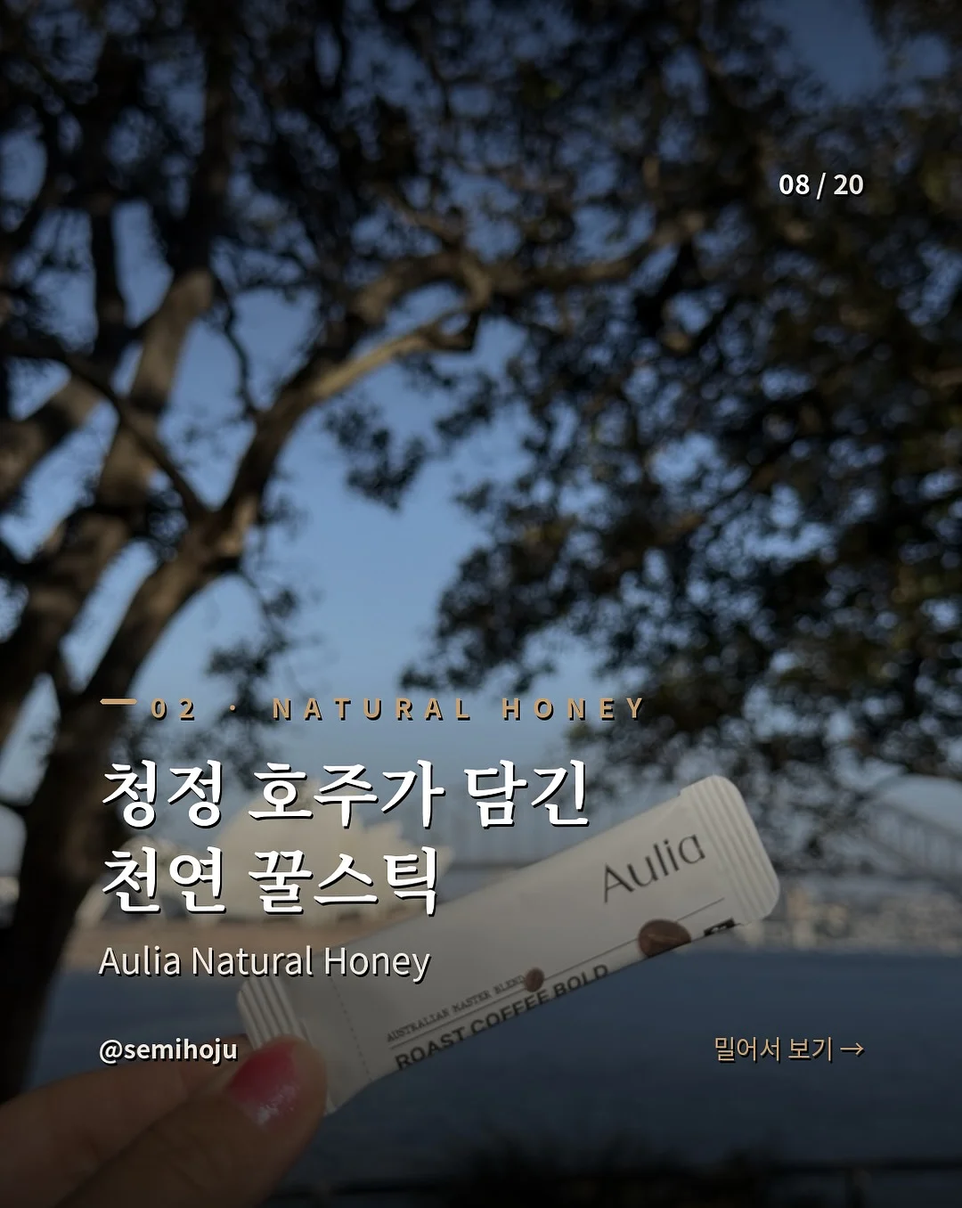 전동미끼 8