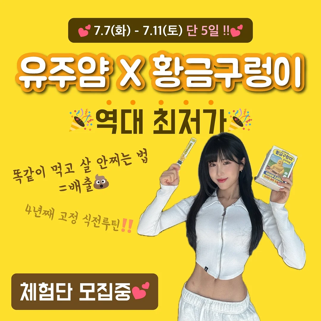 미니카롱 12구 세트