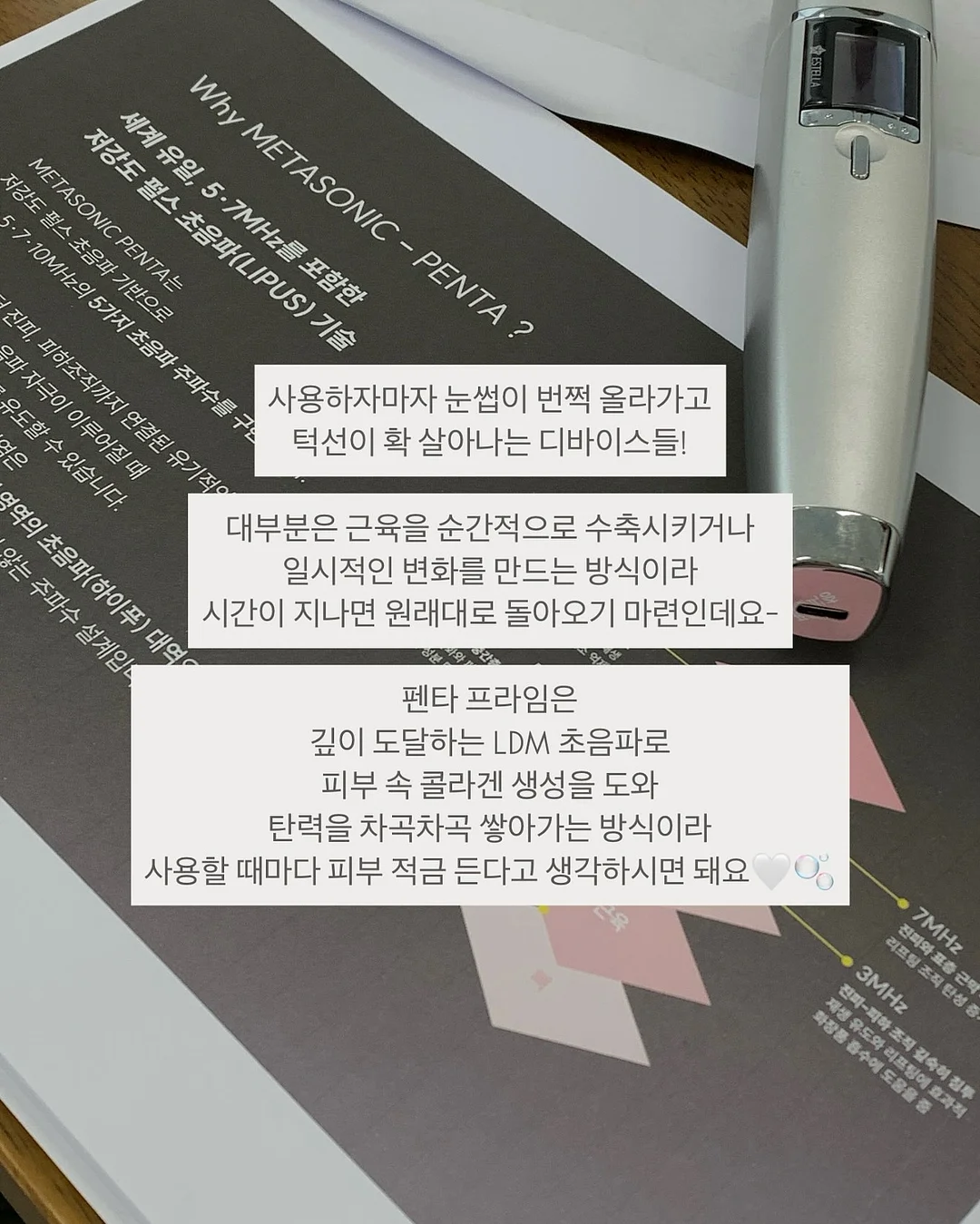 개미 생태 관찰 키트 14