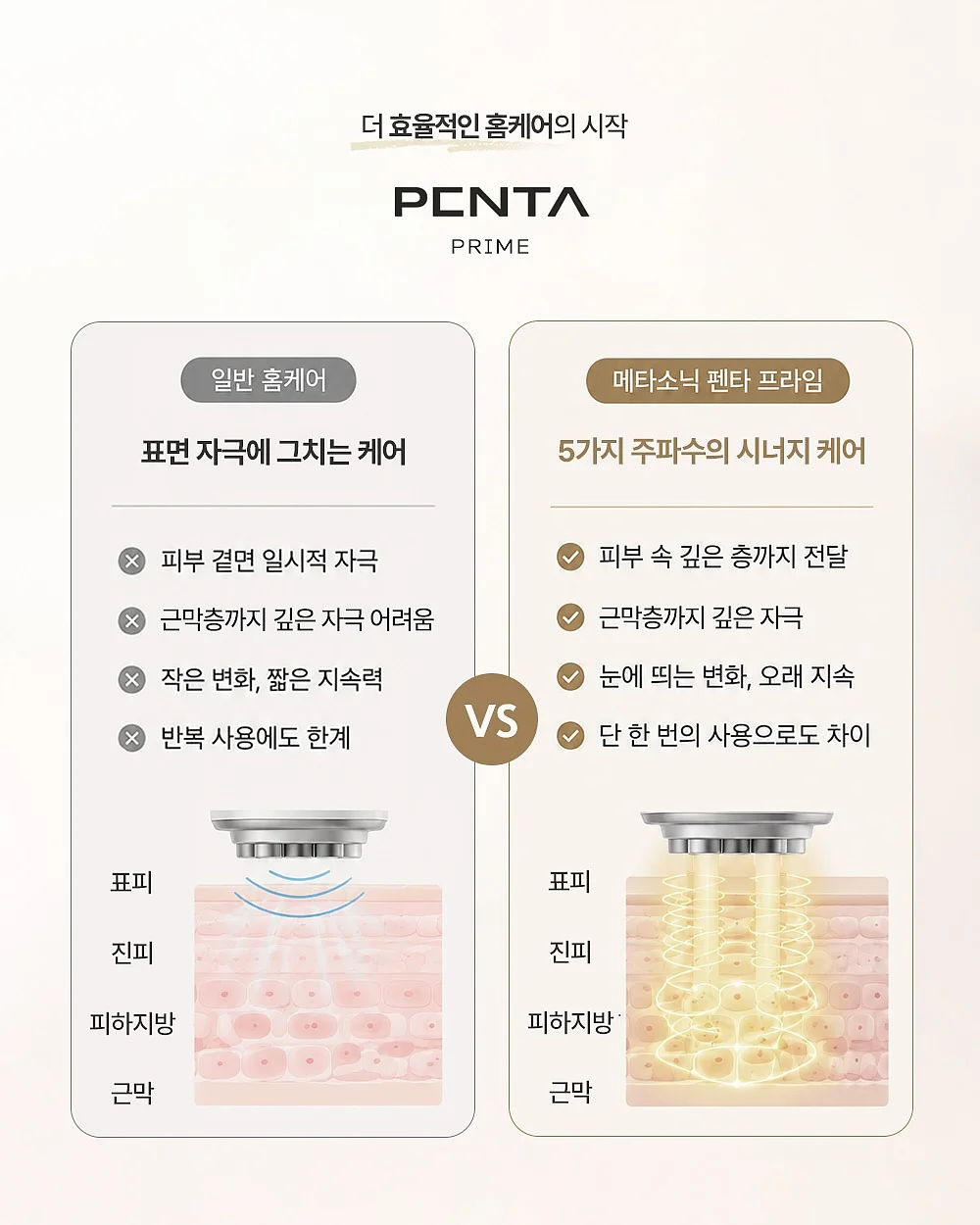 개미 생태 관찰 키트 6