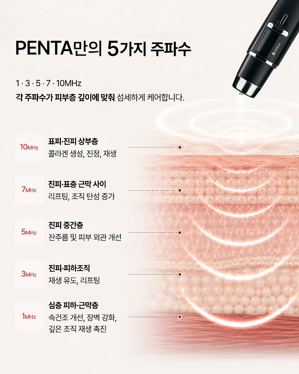 개미 생태 관찰 키트 7