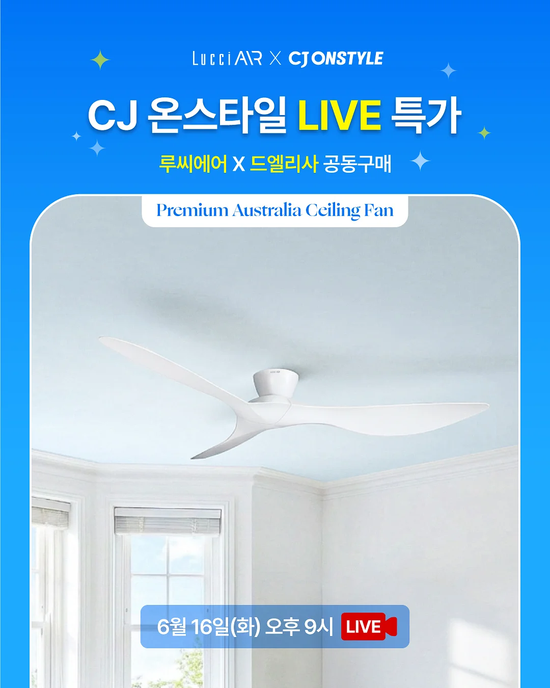 건국대학교 대학원 행사 다과도시락