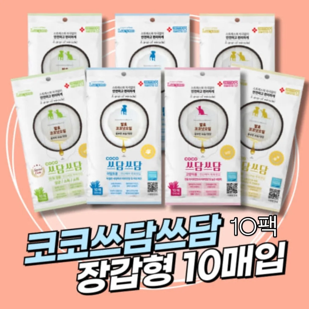 푸들 벽시계 13