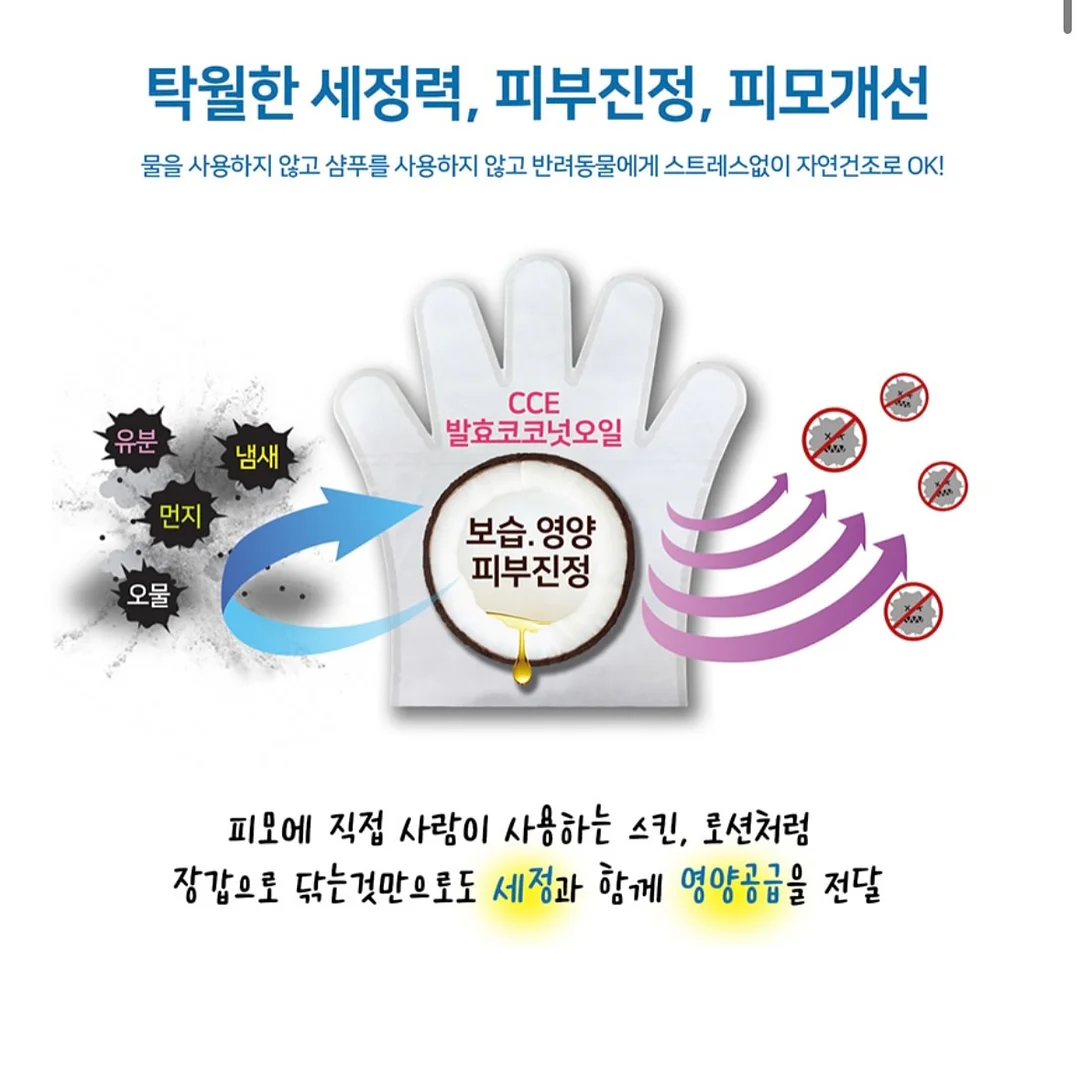 푸들 벽시계 5